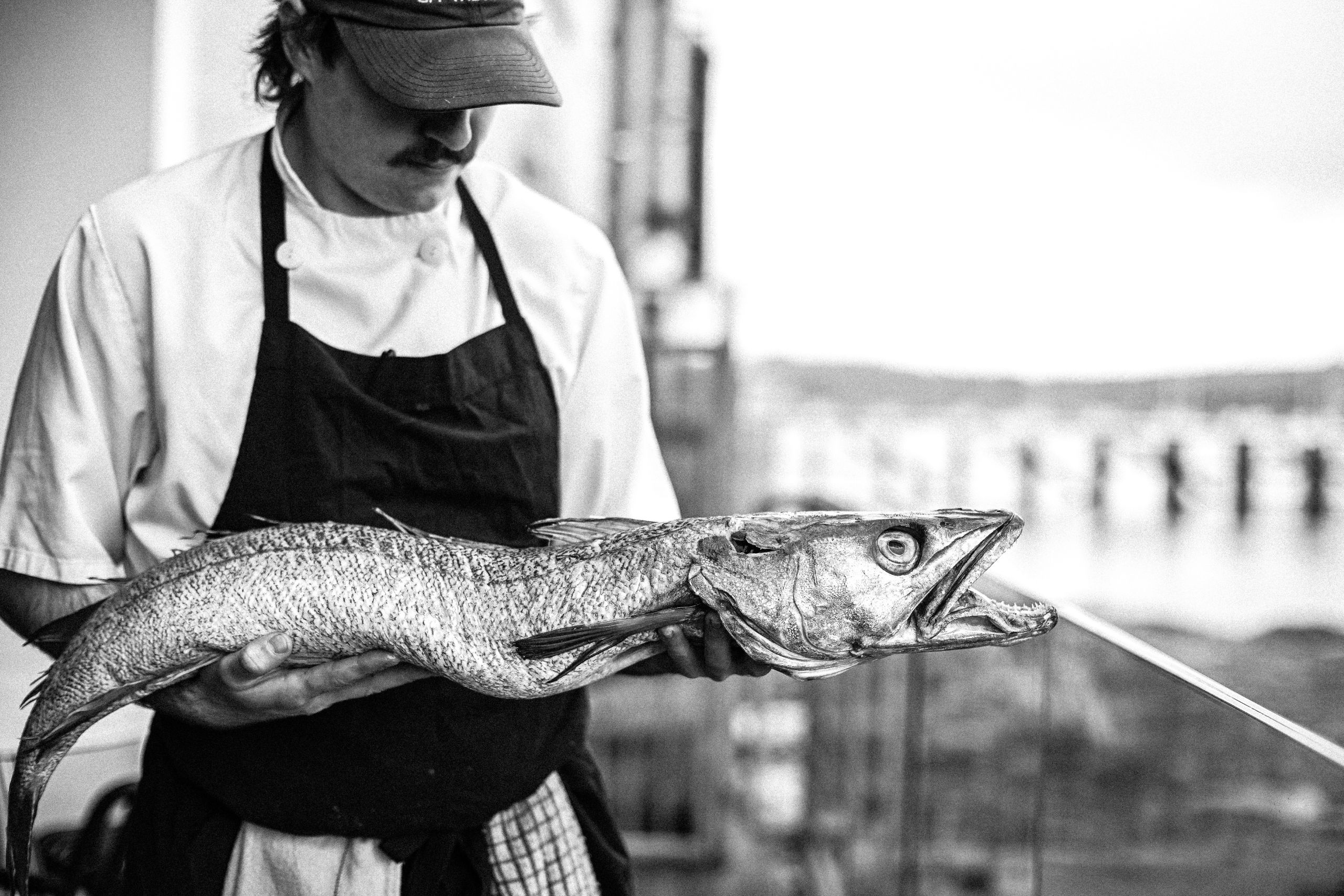 FRESH FISH, INDIDOG RESTAURANT FALMOUTH, CHEF WITH FRESH FISH