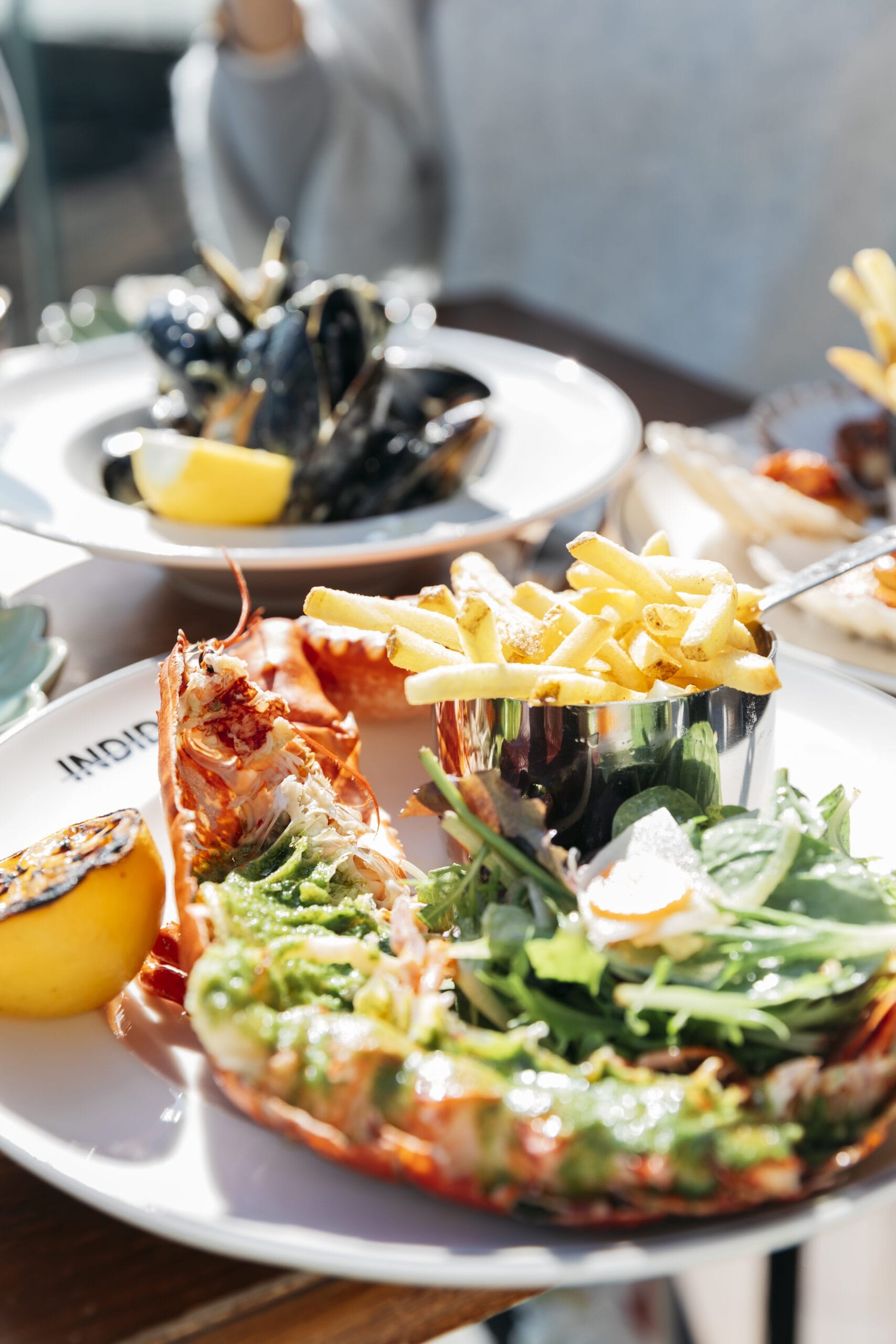 LOBSTER-CLOSE-UP